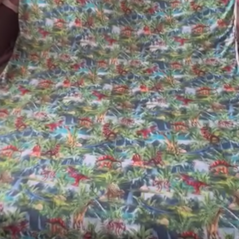 Dinosaur Print Blanket